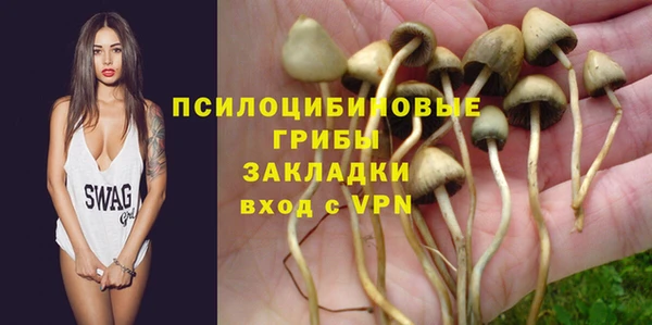 ECSTASY Алексеевка