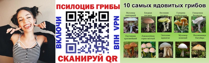 даркнет формула что такое наркотик Карабаш Галлюциногенные грибы Psilocybine cubensis